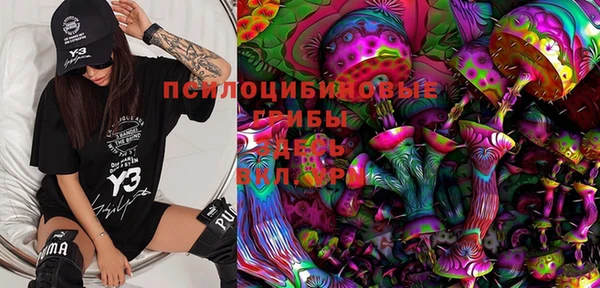 мдма Инта