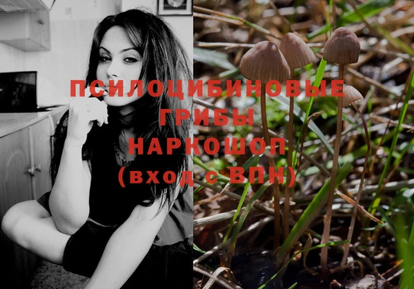 мдма Инта