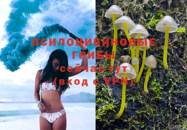 мдма Инта